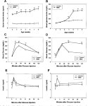 [PDF] Functional inactivation of the IGF-I and insulin receptors in skeletal muscle causes type 2 diabetes. | Semantic Scholar