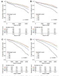 [PDF] Fibrinogen and Neopterin Is Associated with Future Myocardial Infarction and Total Mortality in Patients with Stable... 
