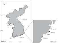 [PDF] Seasonal Variation in Seaweed Community Structure in the Subtidal Zone of the Southern Part of the East Coast of Korea... 