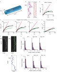 [PDF] Actin filaments partition primary cilia membranes into distinct fluid corrals | Semantic Scholar