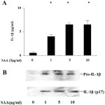 [PDF] Serum Amyloid A Induces NLRP-3-Mediated IL-1β Secretion in Neutrophils | Semantic Scholar