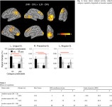 [PDF] Predictability of what or where reduces brain activity, but a bottleneck occurs when both are predictable | Semantic Scholar