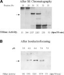 intestinal alkaline sphingomyelinase Published, JLR Papers in Press, April 1, 2003. DOI 10.1194/jlr.M300037-JLR200 | Semantic Scholar