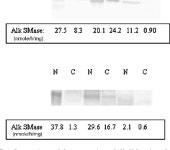 intestinal alkaline sphingomyelinase Published, JLR Papers in Press, April 1, 2003. DOI 10.1194/jlr.M300037-JLR200 | Semantic Scholar