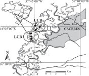 [PDF] Parasitism by argulids (Crustacea: Branchiura) in piranhas (Osteichthyes: Serrasalmidae) captured in the Caiçara bays... 