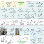 Scalable, Electrochemical Oxidation of Unactivated C–H Bonds | Semantic Scholar