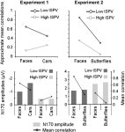 account for early electrophysiological face sensitive responses in the human brain? Ten lessons on the N170 | Semantic Scholar
