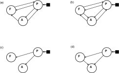 [PDF] Comparing Families of Dynamic Causal Models | Semantic Scholar
