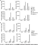 [PDF] IL-1R/TLR2 through MyD88 Divergently Modulates... and B Lymphocyte-induced Maturation Protein-1 (Blimp1)* | Semantic Scholar