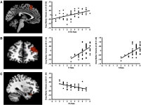 Structural brain correlates of associative memory in older adults | Semantic Scholar