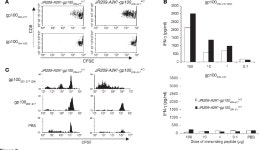 [PDF] Poor immunogenicity of a self/tumor antigen derives from peptide-MHC-I instability and is independent of tolerance.... 