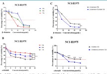 of erlotinib by inducing apoptosis through AMPK and MAPK pathways in TKI-resistant H1975 lung cancer cells | Semantic Scholar