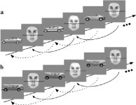 [PDF] A Perceptual Traffic Jam on Highway N170 | Semantic Scholar