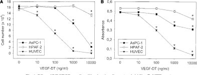 Specific targeting of tumor vasculature by diphtheria toxin-vascular endothelial growth factor fusion protein reduces... 