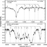COMPONENTS OF QUASAR OUTFLOWS: VERY LARGE TELESCOPE OBSERVATIONS OF QSO 2359–1241 AND SDSS J0318–0600 | Semantic Scholar
