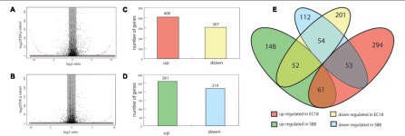 [PDF] Comparative Transcriptomics of Bacillus mycoides Strains in Response to Potato-Root Exudates Reveals Different Genetic... 