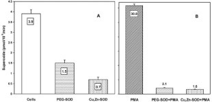 Production of extracellular superoxide by human lymphoblast cell lines: comparison of electron spin resonance techniques and... 
