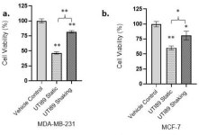 [PDF] FimH and Type 1 Pili Mediated Tumor Cell Cytotoxicity by Uropathogenic Escherichia coli In Vitro | Semantic Scholar