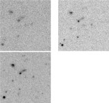 [PDF] Vlt observations of the solitary millisecond pulsar psr j2124-3358 | Semantic Scholar
