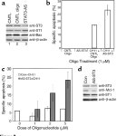 [PDF] Inhibition of STAT3 signaling leads to apoptosis of leukemic large granular lymphocytes and decreased Mcl-1 expression.... 