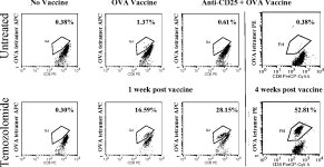 [PDF] A Pilot Study of IL-2Rα Blockade during Lymphopenia Depletes Regulatory T-cells and Correlates with Enhanced Immunity in... 