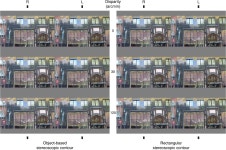 [PDF] Stereoscopic Offset Makes Objects Easier to Recognize | Semantic Scholar