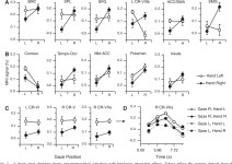 [PDF] Gaze and hand position effects on finger-movement-related human brain activation. | Semantic Scholar