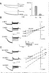 altretamine/cyclophosphamide/doxorubicin | Semantic Scholar