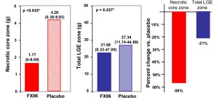 [PDF] Effect of intravenous FX06 as an adjunct to primary percutaneous coronary intervention for acute ST-segment elevation...