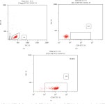 [PDF] Epstein Barr Virus Infection Affects Function of Cytotoxic T Lymphocytes in Patients with Severe Aplastic Anemia | Semantic... 