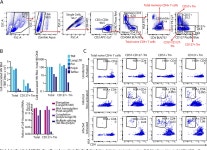[PDF] Tissue memory CD4+ T cells expressing IL-7 receptor-alpha (CD127) preferentially support latent HIV-1 infection | Semantic... 