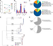 [PDF] Effect of analytical treatment interruption and reinitiation of antiretroviral therapy on HIV reservoirs and immunologic... 
