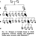 Epidemiologic Investigations of Amyotrophic Lateral Sclerosis | Semantic Scholar