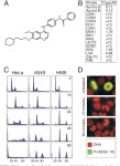 [PDF] Aurora B couples chromosome alignment with anaphase by targeting BubR1, Mad2, and Cenp-E to kinetochores | Semantic Scholar
