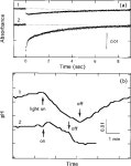 Proton circulation during the photocycle of sensory rhodopsin II. | Semantic Scholar