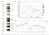 Development and forensic efficiency evaluations of a novel multiplex amplification panel of 17 Multi-InDel loci on the X... 