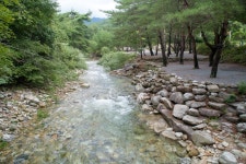 캠핏 | 황토와통나무캠핑장 | 솔밭사이트