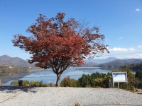 캠핏 | 청풍호반 오토캠핑장 | C구역