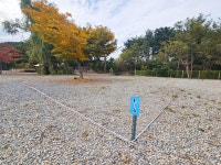 캠핏 | 동해 아름다운오션뷰캠프 | 오토캠핑/파쇄석사이트/랜덤