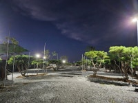 캠핏 | 소나무 캠핑장