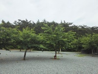 캠핏 | 구름포해변캠핑장 | A구역