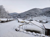 캠핏 | 숲속의쉼터 (+키즈)