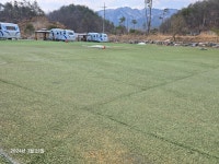 캠핏 | 고성 라벤더 캠핑장 | 오토캠핑 잔디 (랜덤배정)