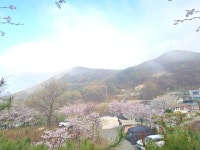 캠핏 | 렛츠고강화캠핑장 | C site
