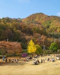 캠핏 | 문경수예리오토캠핑장 | 통대관/사이트별 대관 가능