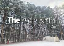 캠핏 | 어게인스쿨(Again School)