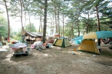 캠핏 | 강원인제 통나무집캠핑장 십이선녀탕계곡 | 대형사이트 2박 캠핏 | 강원인제 통나무집캠핑장 십이선녀탕계곡  | 대형사이트 2박 