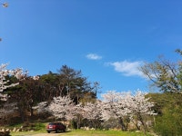 캠핏 | 달곡캠프 | A사이트