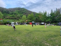 캠핏 | 곡성 섬진강문화학교캠핑장 | 오토캠핑C존