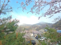 캠핏 | 렛츠고강화캠핑장